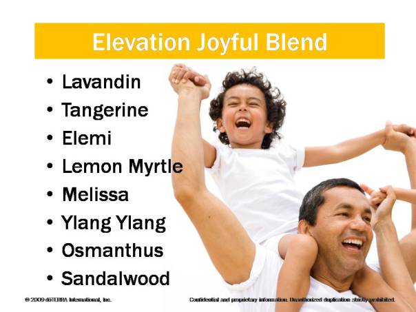 Slide25