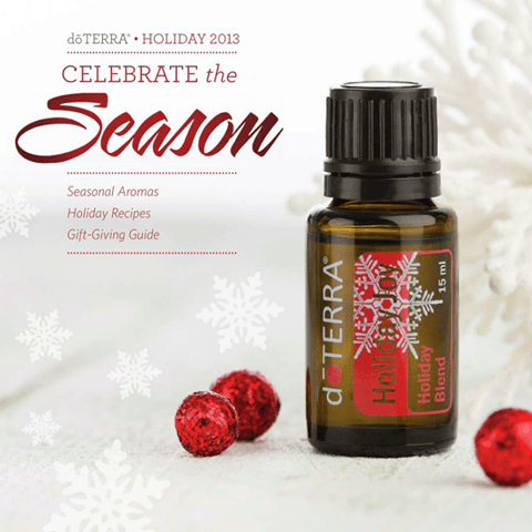 2013 holiday catalog