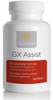 GX_Assist_82211_105x199[1]